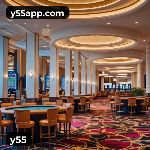 y55